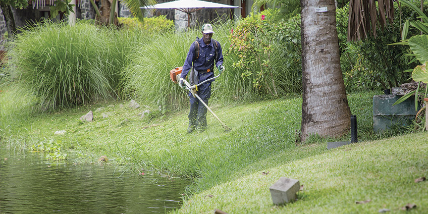 IslandScapes_Landscape_Maintenance_Seychelles2