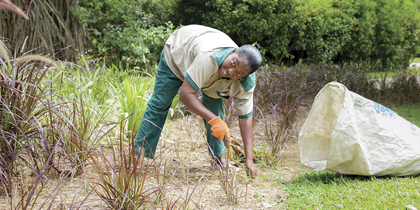 IslandScapes_Landscape_Maintenance_Seychelles3