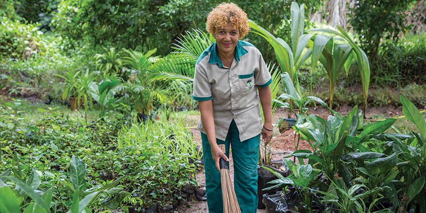 IslandScapes_Landscape_Maintenance_Seychelles5